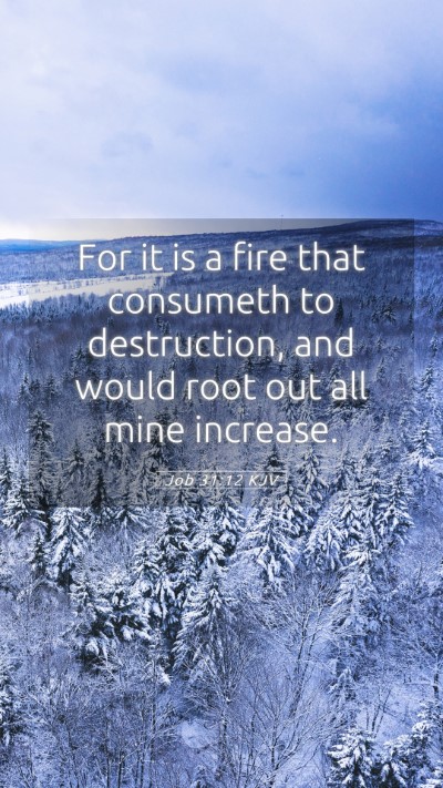 Picture 05 - Job 31:12 KJV Mobile Phone Wallpaper - For it is a fire that consumeth to destruction, - Mobile Bible Verse Wallpaper
