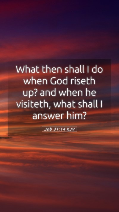 Picture 05 - Job 31:14 KJV Mobile Phone Wallpaper - What then shall I do when God riseth up? and when - Mobile Bible Verse Wallpaper