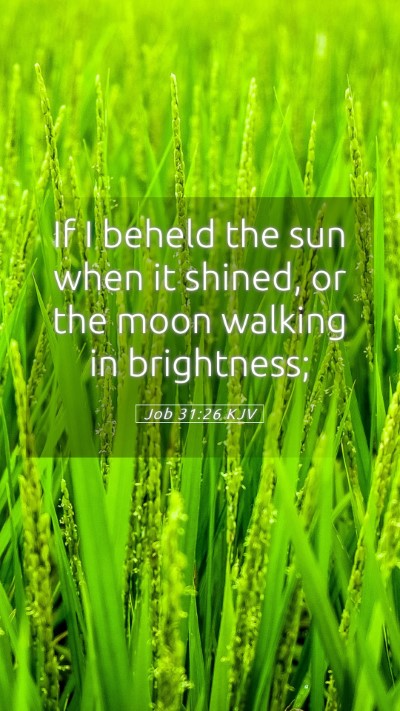 Picture 05 - Job 31:26 KJV Mobile Phone Wallpaper - If I beheld the sun when it shined, or the moon - Mobile Bible Verse Wallpaper