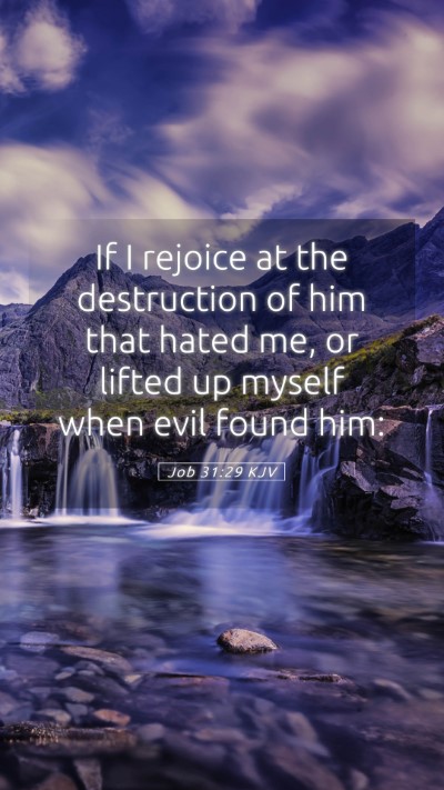 Picture 05 - Job 31:29 KJV Mobile Phone Wallpaper - If I rejoice at the destruction of him that hated - Mobile Bible Verse Wallpaper