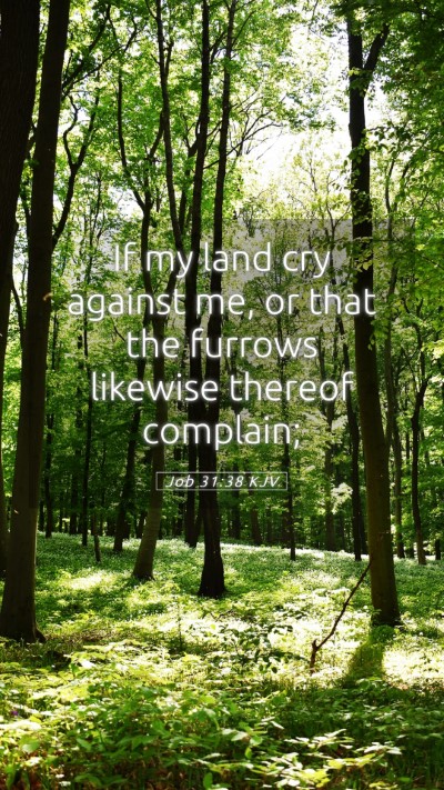 Picture 05 - Job 31:38 KJV Mobile Phone Wallpaper - If my land cry against me, or that the furrows - Mobile Bible Verse Wallpaper