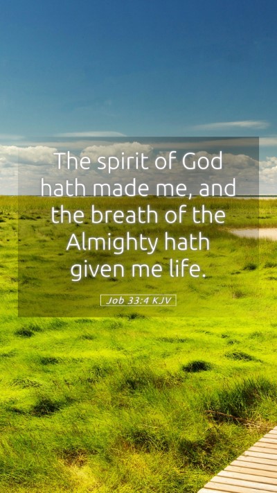 Picture 05 - Job 33:4 KJV Mobile Phone Wallpaper - The spirit of God hath made me, and the breath of - Mobile Bible Verse Wallpaper