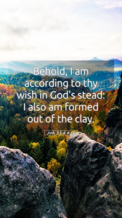Picture 05 - Job 33:6 KJV Mobile Phone Wallpaper - Behold, I am according to thy wish in God's - Mobile Bible Verse Wallpaper