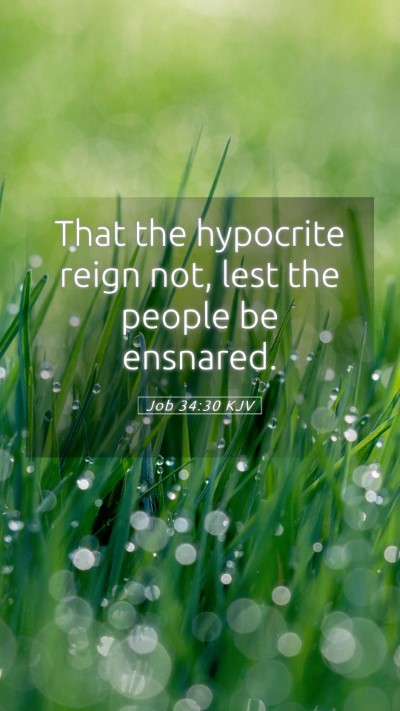Picture 05 - Job 34:30 KJV Mobile Phone Wallpaper - That the hypocrite reign not, lest the people be - Mobile Bible Verse Wallpaper