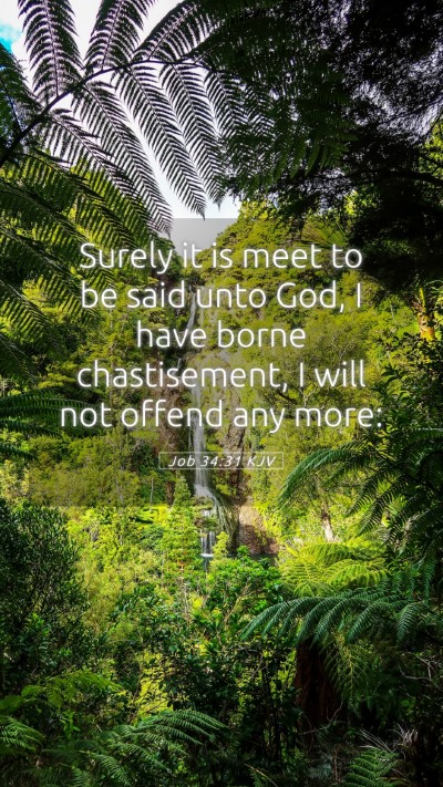 Picture 05 - Job 34:31 KJV Mobile Phone Wallpaper - Surely it is meet to be said unto God, I have - Mobile Bible Verse Wallpaper