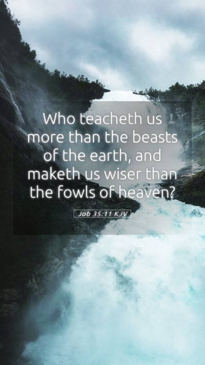 Picture 05 - Job 35:11 KJV Mobile Phone Wallpaper - Who teacheth us more than the beasts of the - Mobile Bible Verse Wallpaper