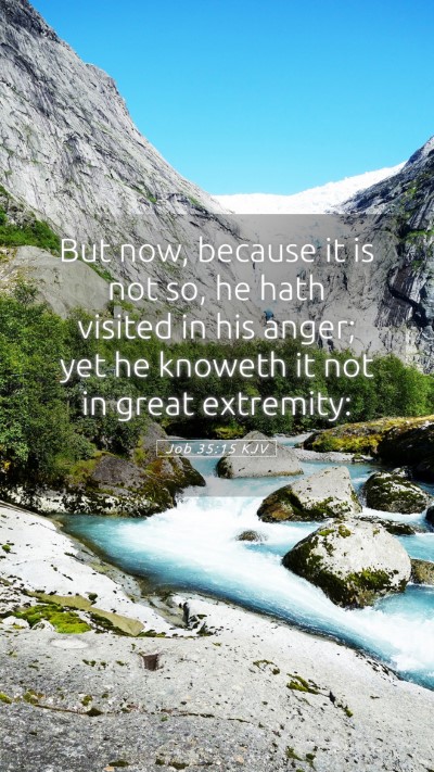 Picture 05 - Job 35:15 KJV Mobile Phone Wallpaper - But now, because it is not so, he hath visited in - Mobile Bible Verse Wallpaper