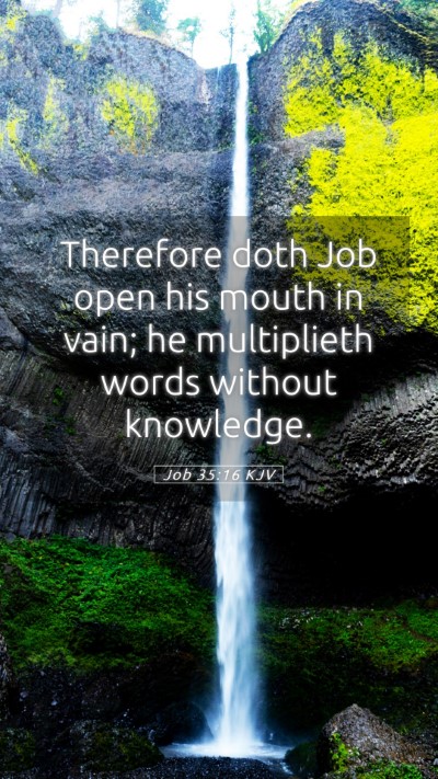 Picture 05 - Job 35:16 KJV Mobile Phone Wallpaper - Therefore doth Job open his mouth in vain; he - Mobile Bible Verse Wallpaper