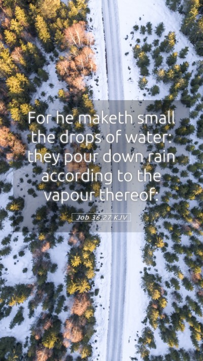 Picture 05 - Job 36:27 KJV Mobile Phone Wallpaper - For he maketh small the drops of water: they pour - Mobile Bible Verse Wallpaper