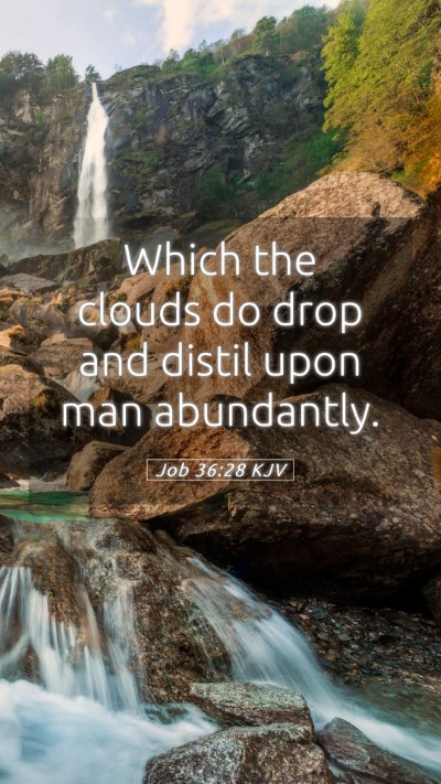 Picture 05 - Job 36:28 KJV Mobile Phone Wallpaper - Which the clouds do drop and distil upon man - Mobile Bible Verse Wallpaper