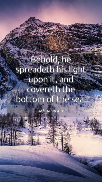 Picture 05 - Job 36:30 KJV Mobile Phone Wallpaper - Behold, he spreadeth his light upon it, and - Mobile Bible Verse Wallpaper