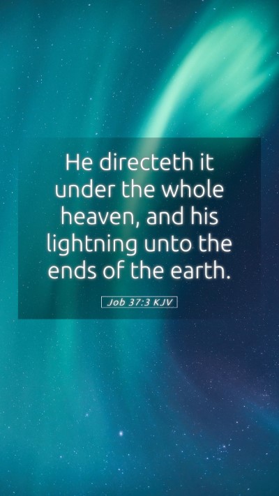 Picture 05 - Job 37:3 KJV Mobile Phone Wallpaper - He directeth it under the whole heaven, and his - Mobile Bible Verse Wallpaper