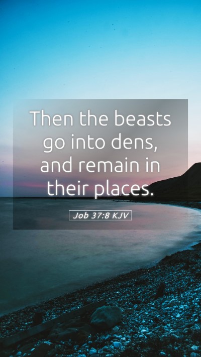 Picture 05 - Job 37:8 KJV Mobile Phone Wallpaper - Then the beasts go into dens, and remain in their - Mobile Bible Verse Wallpaper