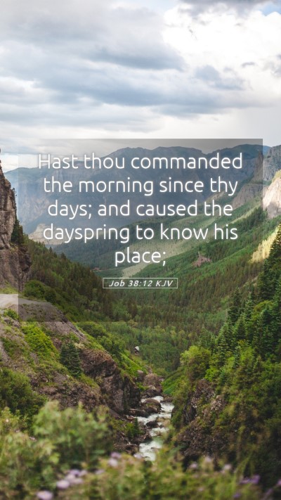 Picture 05 - Job 38:12 KJV Mobile Phone Wallpaper - Hast thou commanded the morning since thy days; - Mobile Bible Verse Wallpaper