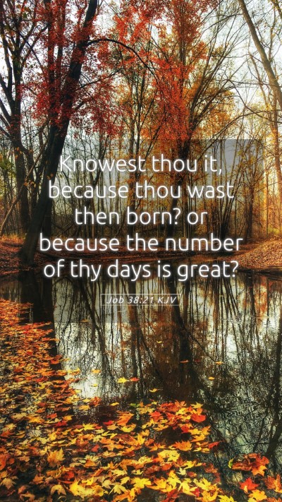 Picture 05 - Job 38:21 KJV Mobile Phone Wallpaper - Knowest thou it, because thou wast then born? or - Mobile Bible Verse Wallpaper
