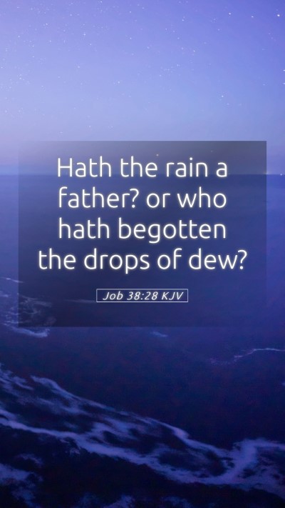 Picture 05 - Job 38:28 KJV Mobile Phone Wallpaper - Hath the rain a father? or who hath begotten the - Mobile Bible Verse Wallpaper