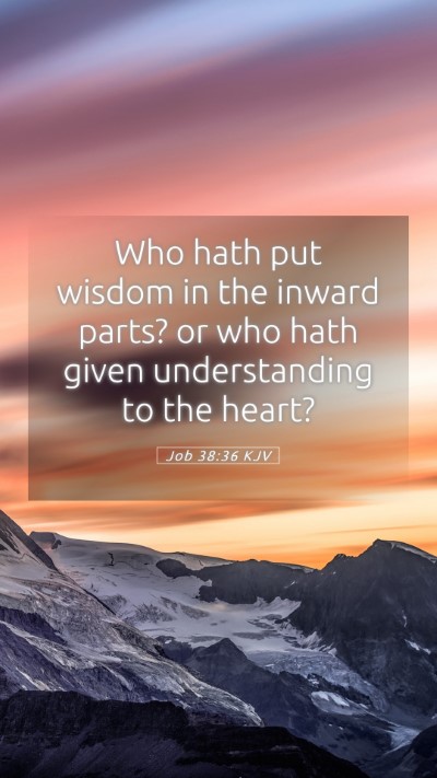Picture 05 - Job 38:36 KJV Mobile Phone Wallpaper - Who hath put wisdom in the inward parts? or who - Mobile Bible Verse Wallpaper