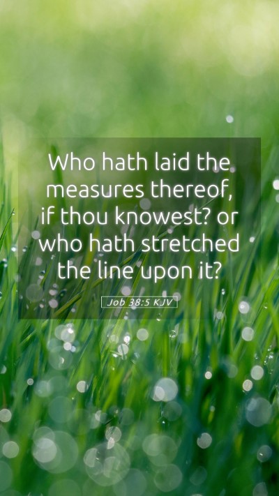 Picture 05 - Job 38:5 KJV Mobile Phone Wallpaper - Who hath laid the measures thereof, if thou - Mobile Bible Verse Wallpaper