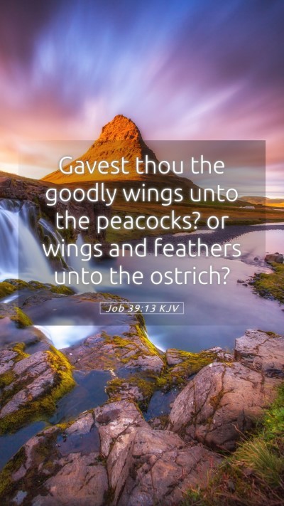 Picture 05 - Job 39:13 KJV Mobile Phone Wallpaper - Gavest thou the goodly wings unto the peacocks? - Mobile Bible Verse Wallpaper