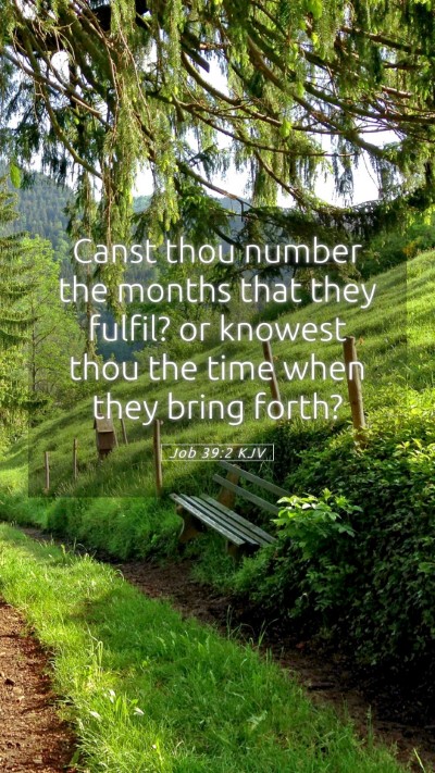 Picture 05 - Job 39:2 KJV Mobile Phone Wallpaper - Canst thou number the months that they fulfil? or - Mobile Bible Verse Wallpaper