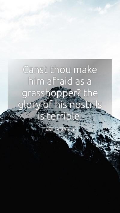 Picture 05 - Job 39:20 KJV Mobile Phone Wallpaper - Canst thou make him afraid as a grasshopper? the - Mobile Bible Verse Wallpaper
