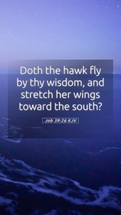 Picture 05 - Job 39:26 KJV Mobile Phone Wallpaper - Doth the hawk fly by thy wisdom, and stretch her - Mobile Bible Verse Wallpaper