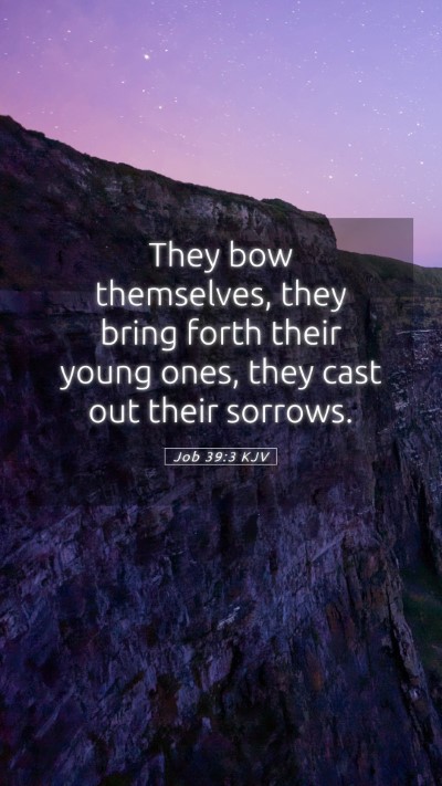 Picture 05 - Job 39:3 KJV Mobile Phone Wallpaper - They bow themselves, they bring forth their young - Mobile Bible Verse Wallpaper