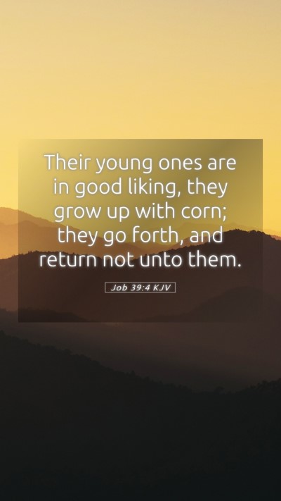 Picture 05 - Job 39:4 KJV Mobile Phone Wallpaper - Their young ones are in good liking, they grow up - Mobile Bible Verse Wallpaper