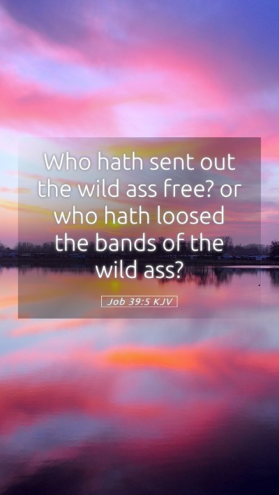 Picture 05 - Job 39:5 KJV Mobile Phone Wallpaper - Who hath sent out the wild ass free? or who hath - Mobile Bible Verse Wallpaper