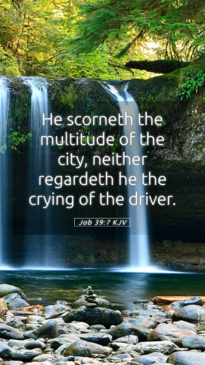 Picture 05 - Job 39:7 KJV Mobile Phone Wallpaper - He scorneth the multitude of the city, neither - Mobile Bible Verse Wallpaper