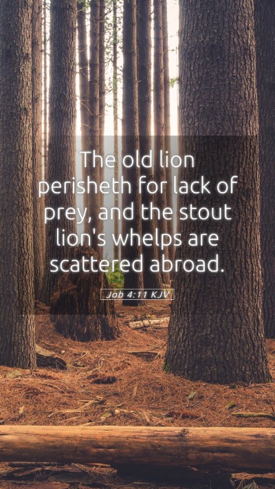Picture 05 - Job 4:11 KJV Mobile Phone Wallpaper - The old lion perisheth for lack of prey, and the - Mobile Bible Verse Wallpaper