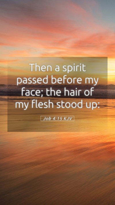 Picture 05 - Job 4:15 KJV Mobile Phone Wallpaper - Then a spirit passed before my face; the hair of - Mobile Bible Verse Wallpaper