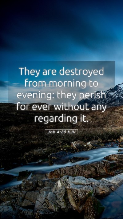 Picture 05 - Job 4:20 KJV Mobile Phone Wallpaper - They are destroyed from morning to evening: they - Mobile Bible Verse Wallpaper