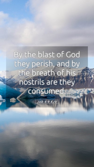 Picture 05 - Job 4:9 KJV Mobile Phone Wallpaper - By the blast of God they perish, and by the - Mobile Bible Verse Wallpaper