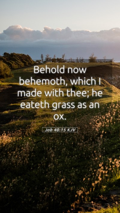 Picture 05 - Job 40:15 KJV Mobile Phone Wallpaper - Behold now behemoth, which I made with thee; he - Mobile Bible Verse Wallpaper