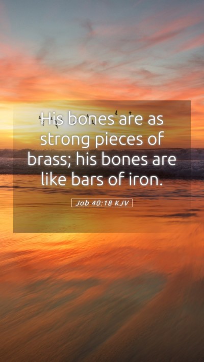 Picture 05 - Job 40:18 KJV Mobile Phone Wallpaper - His bones are as strong pieces of brass; his - Mobile Bible Verse Wallpaper