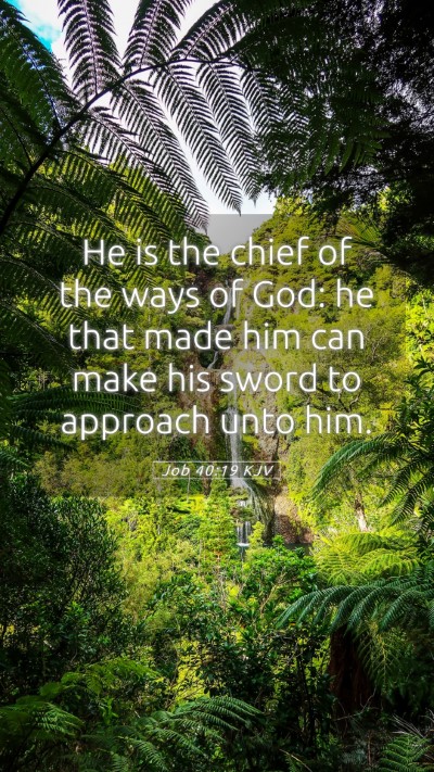 Picture 05 - Job 40:19 KJV Mobile Phone Wallpaper - He is the chief of the ways of God: he that made - Mobile Bible Verse Wallpaper