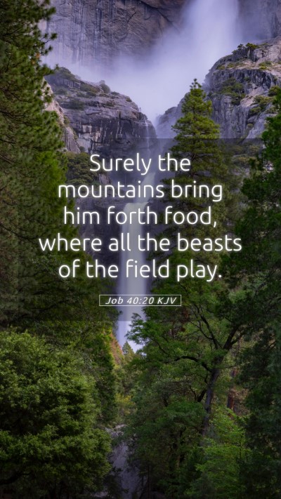 Picture 05 - Job 40:20 KJV Mobile Phone Wallpaper - Surely the mountains bring him forth food, where - Mobile Bible Verse Wallpaper