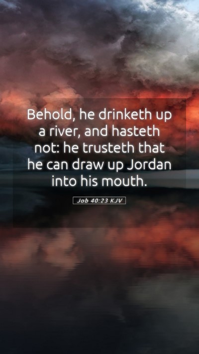 Picture 05 - Job 40:23 KJV Mobile Phone Wallpaper - Behold, he drinketh up a river, and hasteth not: - Mobile Bible Verse Wallpaper