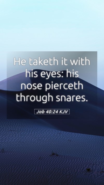 Picture 05 - Job 40:24 KJV Mobile Phone Wallpaper - He taketh it with his eyes: his nose pierceth - Mobile Bible Verse Wallpaper