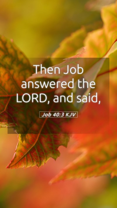 Picture 05 - Job 40:3 KJV Mobile Phone Wallpaper - Then Job answered the LORD, and - Mobile Bible Verse Wallpaper