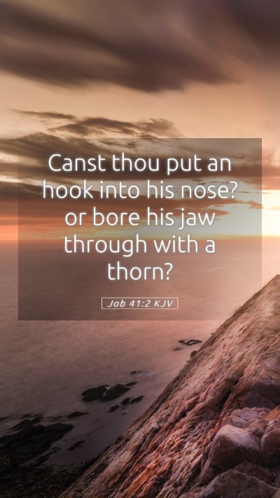 Picture 05 - Job 41:2 KJV Mobile Phone Wallpaper - Canst thou put an hook into his nose? or bore his - Mobile Bible Verse Wallpaper