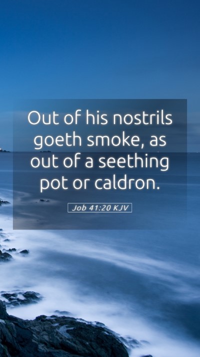 Picture 05 - Job 41:20 KJV Mobile Phone Wallpaper - Out of his nostrils goeth smoke, as out of a - Mobile Bible Verse Wallpaper