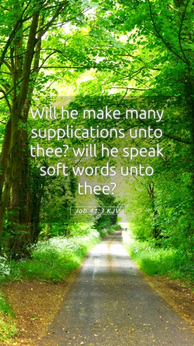 Picture 05 - Job 41:3 KJV Mobile Phone Wallpaper - Will he make many supplications unto thee? will - Mobile Bible Verse Wallpaper