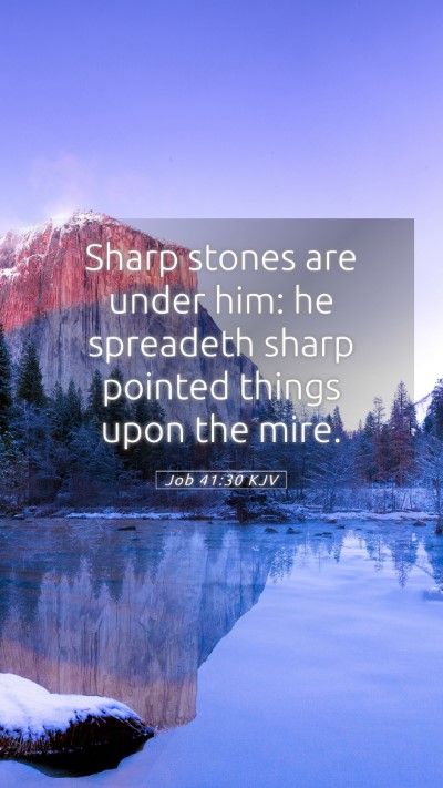 Picture 05 - Job 41:30 KJV Mobile Phone Wallpaper - Sharp stones are under him: he spreadeth sharp - Mobile Bible Verse Wallpaper