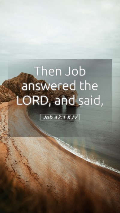 Picture 05 - Job 42:1 KJV Mobile Phone Wallpaper - Then Job answered the LORD, and - Mobile Bible Verse Wallpaper
