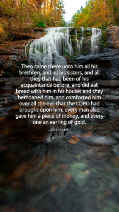 Picture 05 - Job 42:11 KJV Mobile Phone Wallpaper - Then came there unto him all his brethren, and - Mobile Bible Verse Wallpaper