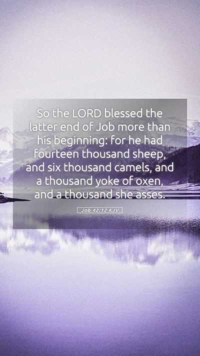 Picture 05 - Job 42:12 KJV Mobile Phone Wallpaper - So the LORD blessed the latter end of Job more - Mobile Bible Verse Wallpaper