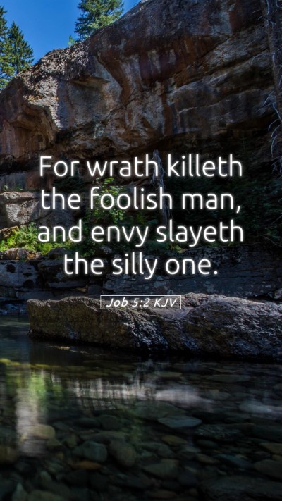 Picture 05 - Job 5:2 KJV Mobile Phone Wallpaper - For wrath killeth the foolish man, and envy - Mobile Bible Verse Wallpaper