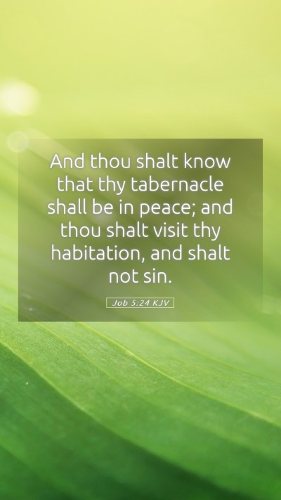 Picture 05 - Job 5:24 KJV Mobile Phone Wallpaper - And thou shalt know that thy tabernacle shall be - Mobile Bible Verse Wallpaper
